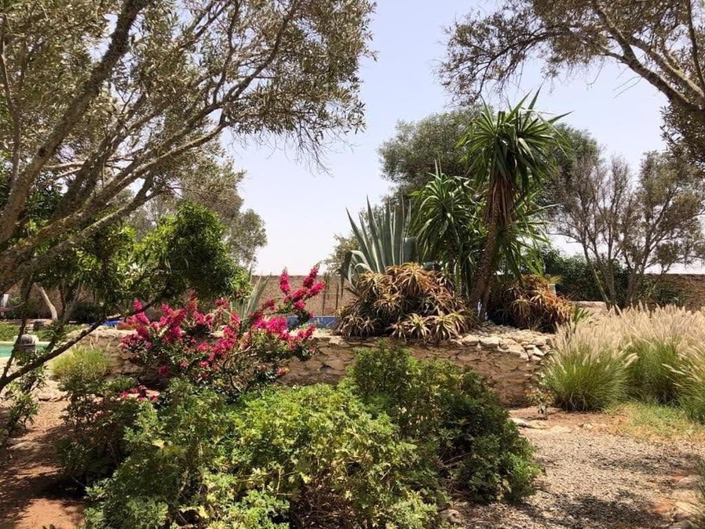 Les Jardins De Silona, Piscine Chauffee Hotell Essaouira Eksteriør bilde