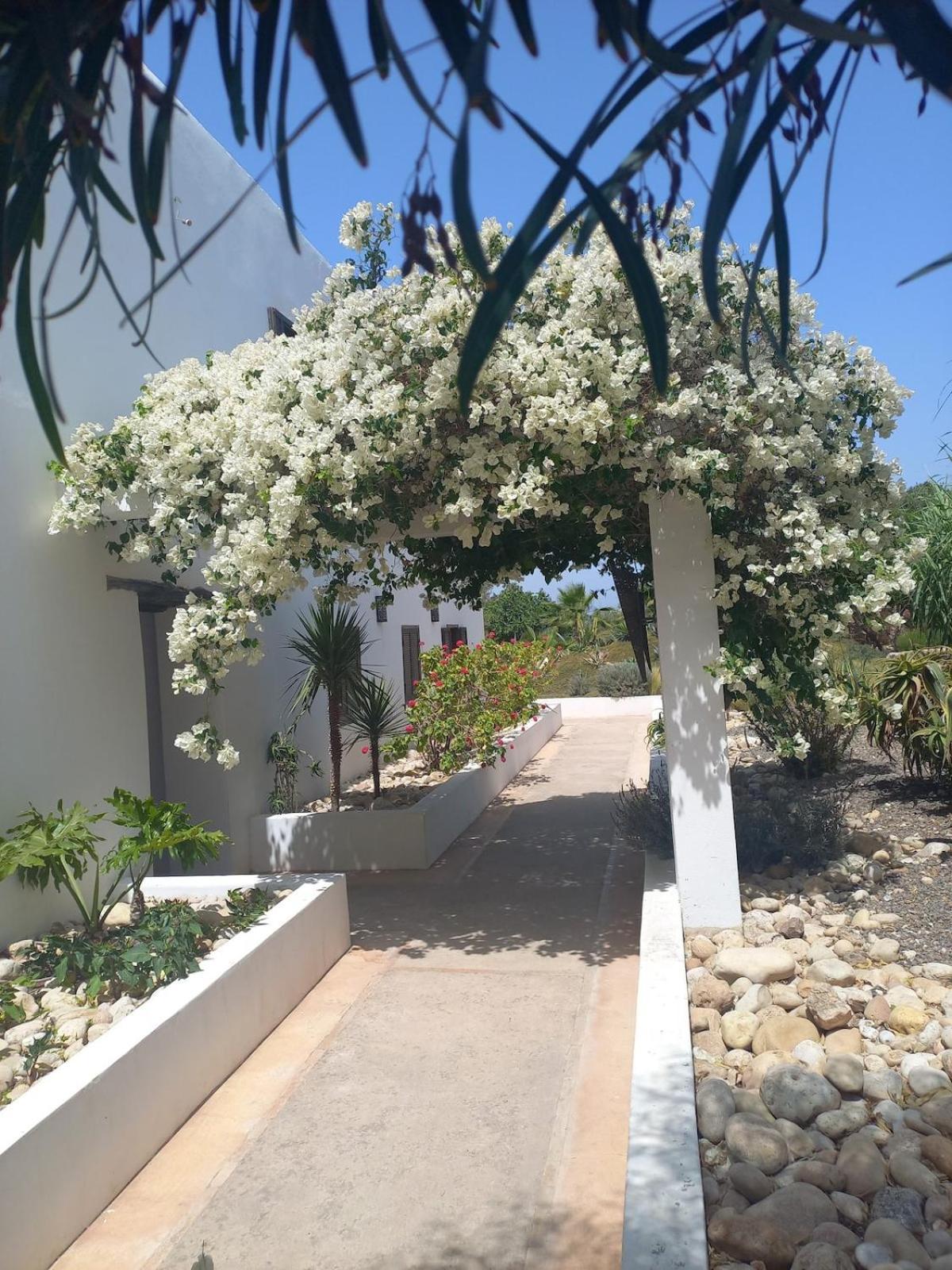 Les Jardins De Silona, Piscine Chauffee Hotell Essaouira Eksteriør bilde
