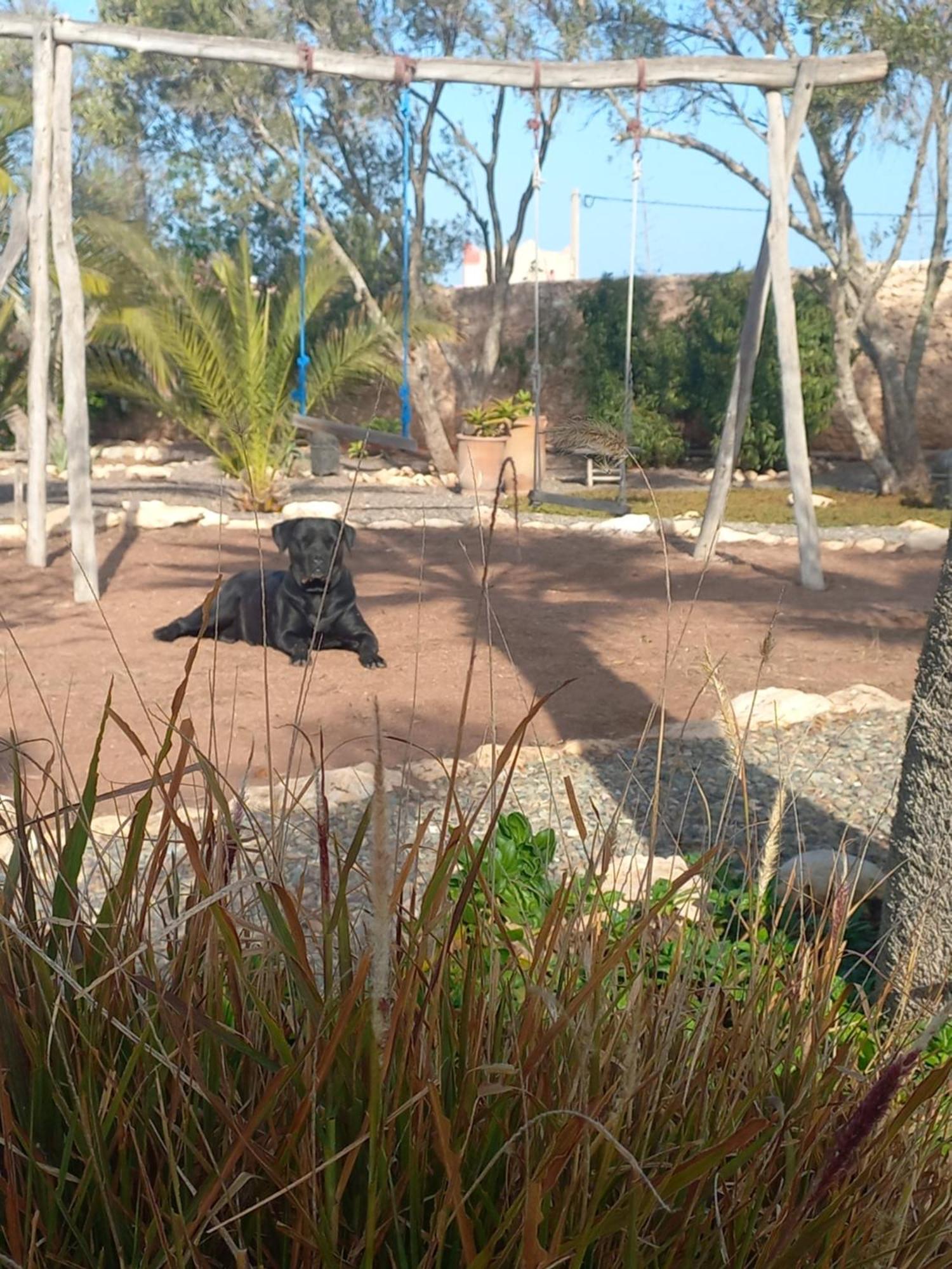 Les Jardins De Silona, Piscine Chauffee Hotell Essaouira Eksteriør bilde