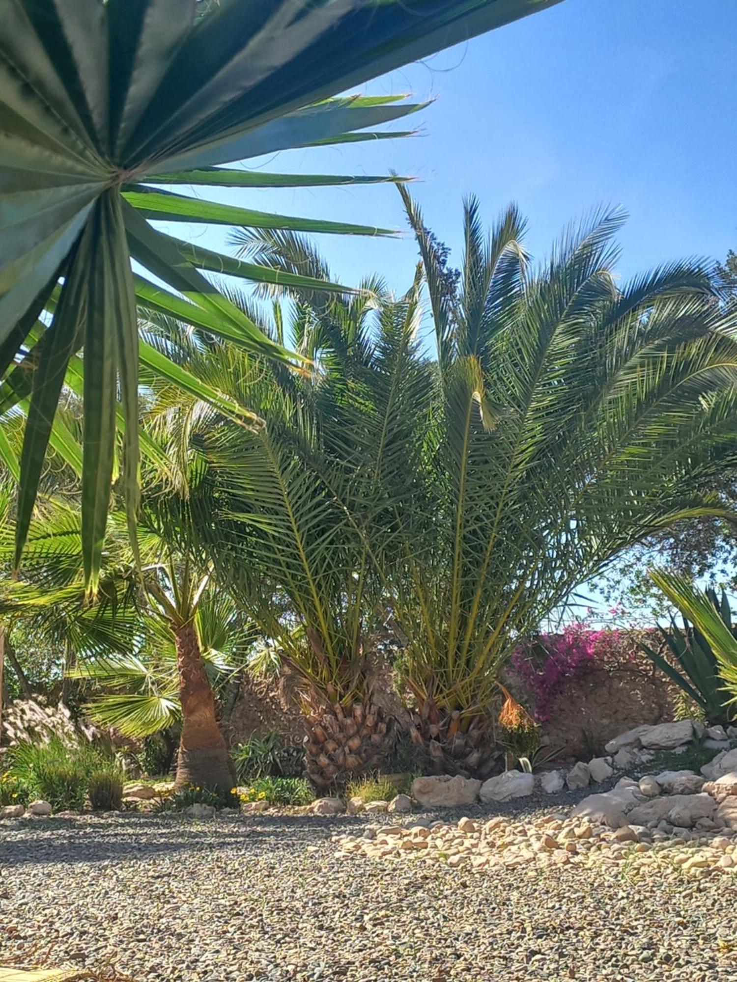 Les Jardins De Silona, Piscine Chauffee Hotell Essaouira Eksteriør bilde